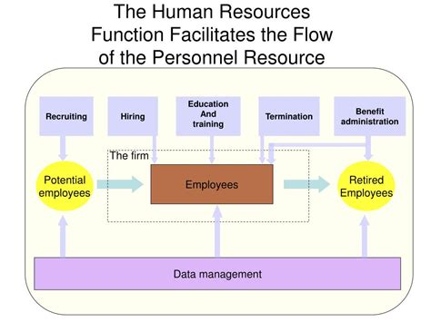 Human Resources Function 的图像结果