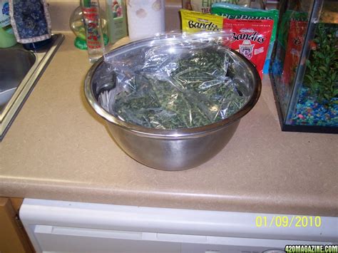 Image result for Hash Making Jacket