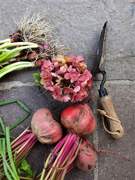 Camilla+Araujo+Pink+Pics+Free+Download Photos, Download The BEST Free ...