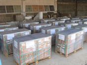 Arvicon International - Home Page