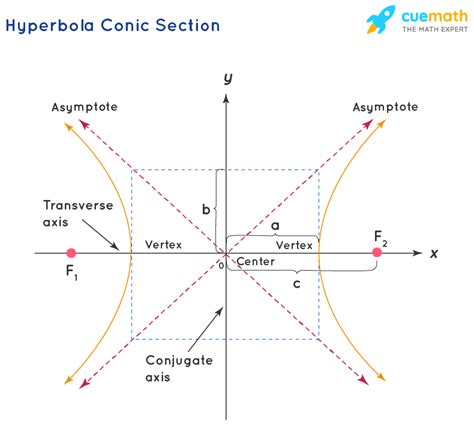 Conic Section -Definition, Formulas, Equations, Examples