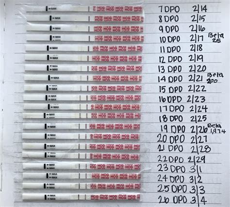 Wondfo Pregnancy Test Progression