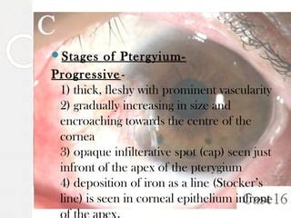 Image result for High Performance Java