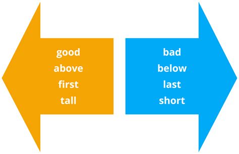Antonyms — lesson. English Language CBSE, Class 7.