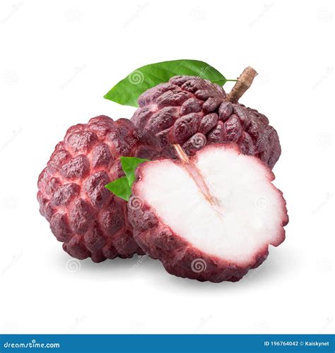 Red Custard Apple