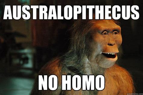 Image result for Australopithecus Meme