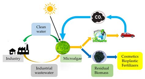 Bio Fuel Energy