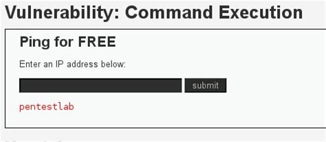 Image result for Command Execution