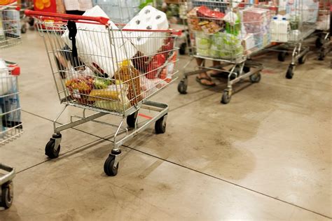 Trolley Problem 2 的图像结果