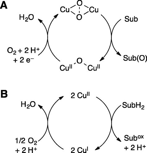 Copper Chloride Oxidation Numbers at Jeremy Tellez blog