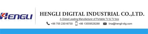 Company Overview - Hengli Digital Industrial Co., Ltd.