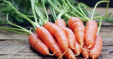 Fall Produce 的图像结果