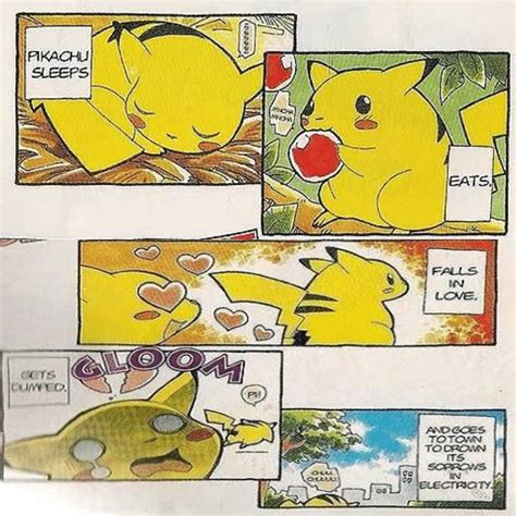 Gay Pikachu Rule : r/196