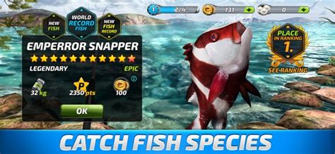 Fishing Clash Cheats 的图像结果