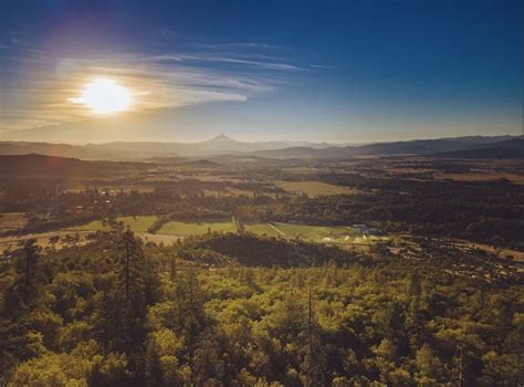 Pharmacy Services - Black Oak Pharmacy