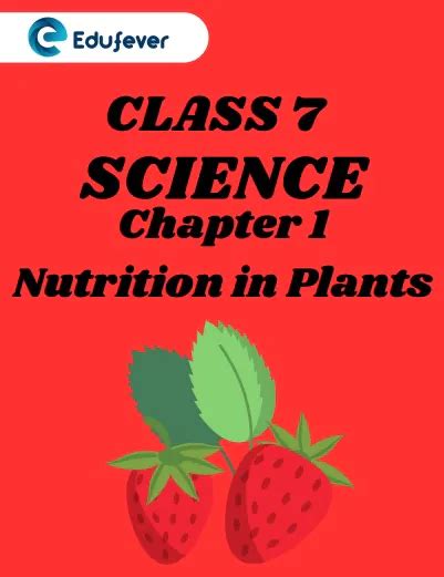 Image result for Class 7 Science Chapter 1 Activity