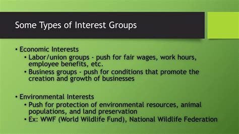 Interest Groups | PPTX