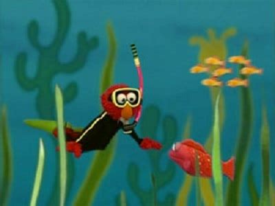 Elmo World Water Swim 的图像结果