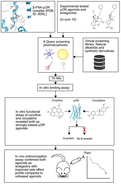 Mind the Gap—Deciphering GPCR Pharmacology Using 3D Pharmacophores and ...