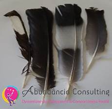 signification des plumes symbolique des plumes ange oiseau rituel chaman signification des plumes symbolique des plumes ange oiseau rituel chaman