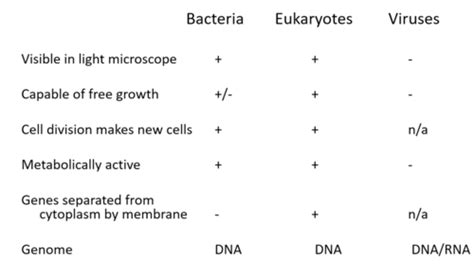 Microbiology 的图像结果