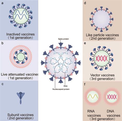 Research, Development and Application of COVID-19 Vaccines: Progress ...