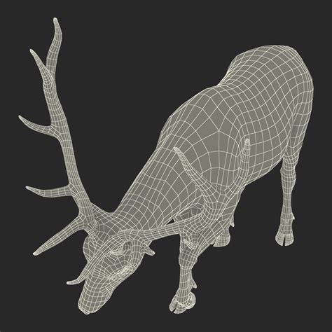 3D model Elk Pose 4 | 3D Molier International