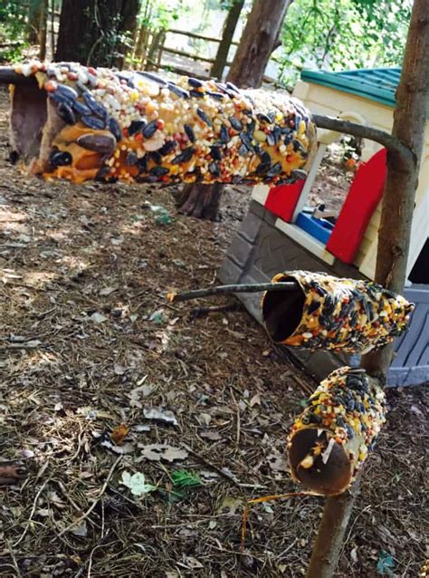 Image result for Spring Break Homeade