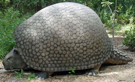 Glyptodont Sculpture Dedication , 6195 N Tropical Trl, Merritt Island ...