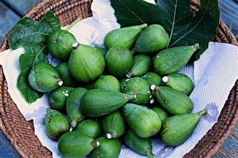 Figs Season In Spain at George Ashcraft blog