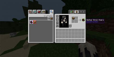 Image result for Randomizer Minecraft Mod 1.16.5