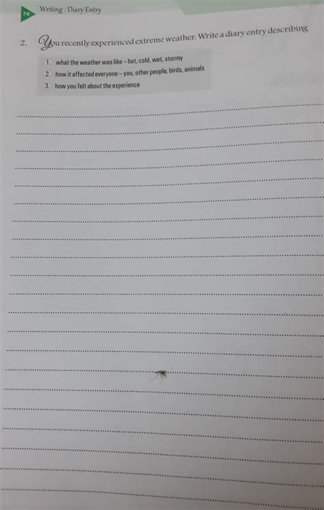 write a diary entry - Brainly.in