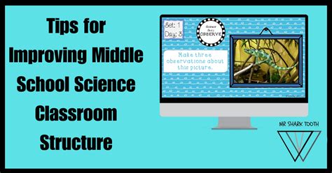 Structure Class School 的图像结果