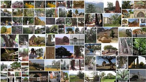 One day trip to Jagdalpur, One day itinerary to Jagdalpur