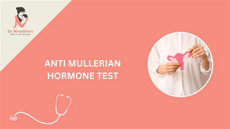 Anti Mullerian Hormone Test: Fertility Guide