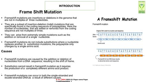 frame shift mutation ppt.pdf