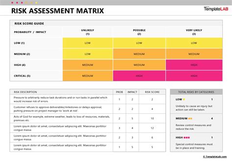 Image result for Project Risk Assessment Matrix Template