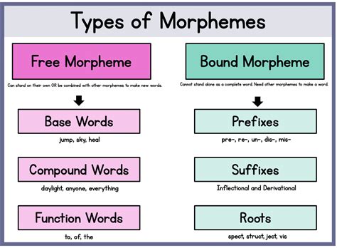 Understanding Morphology: Part 1 - Sarah's Teaching Snippets