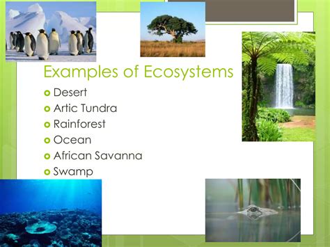 Ecosystems powerpoint | PPTX