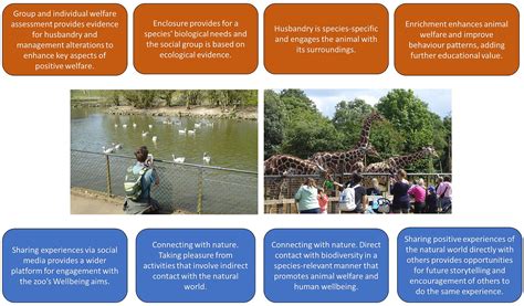 Frontiers | Expanding the role of the future zoo: Wellbeing should become the fifth aim for ...