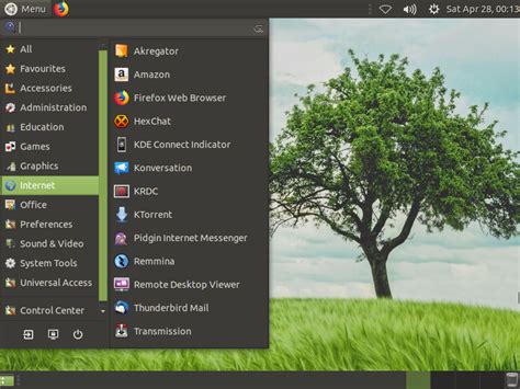 RDP Client for Ubuntu 的图像结果