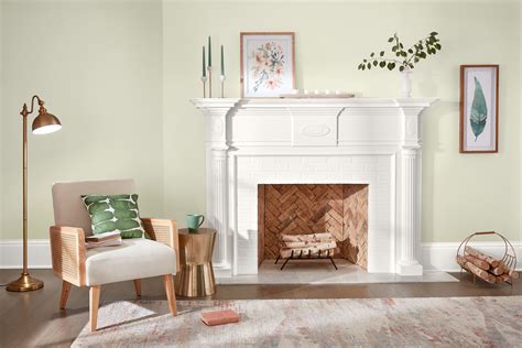 14 Olive Green Paint Colors the Pros Love