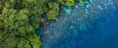 Ukinute vize za Srbe do ove zemlje - B92