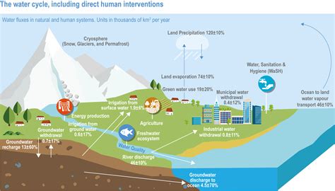 How Does Climate Change Impact Water Cycle at Charlie Fred blog