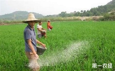 宁夏：积极推广绿色农产品加工业建设发展 - 地方动态 - 第一农经网