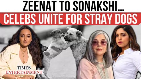 Bollywood stars react sharply to supreme court’s stray dog order