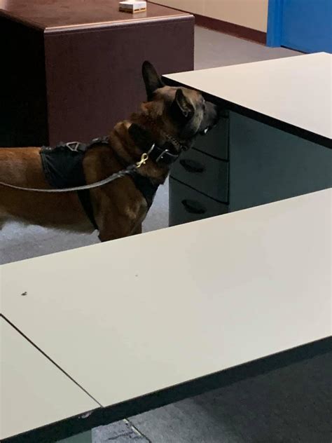 K9 Officer Epitropoulos & K9... - Edgewater Police Department | Facebook