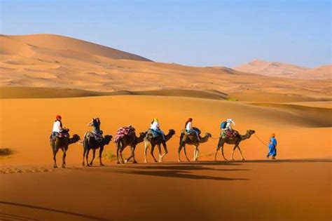 3-Day Private Desert Tour from Fez to Marrakesh 2022 - Viator