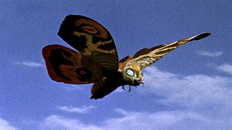 Image result for Mothra Web Browser