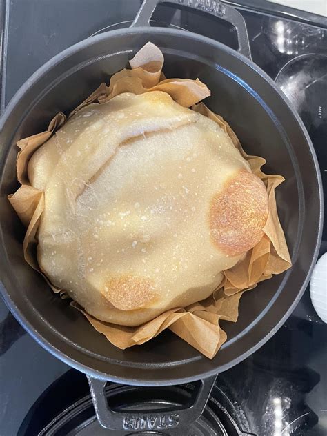 What in the heck went wrong😂 : r/Sourdough